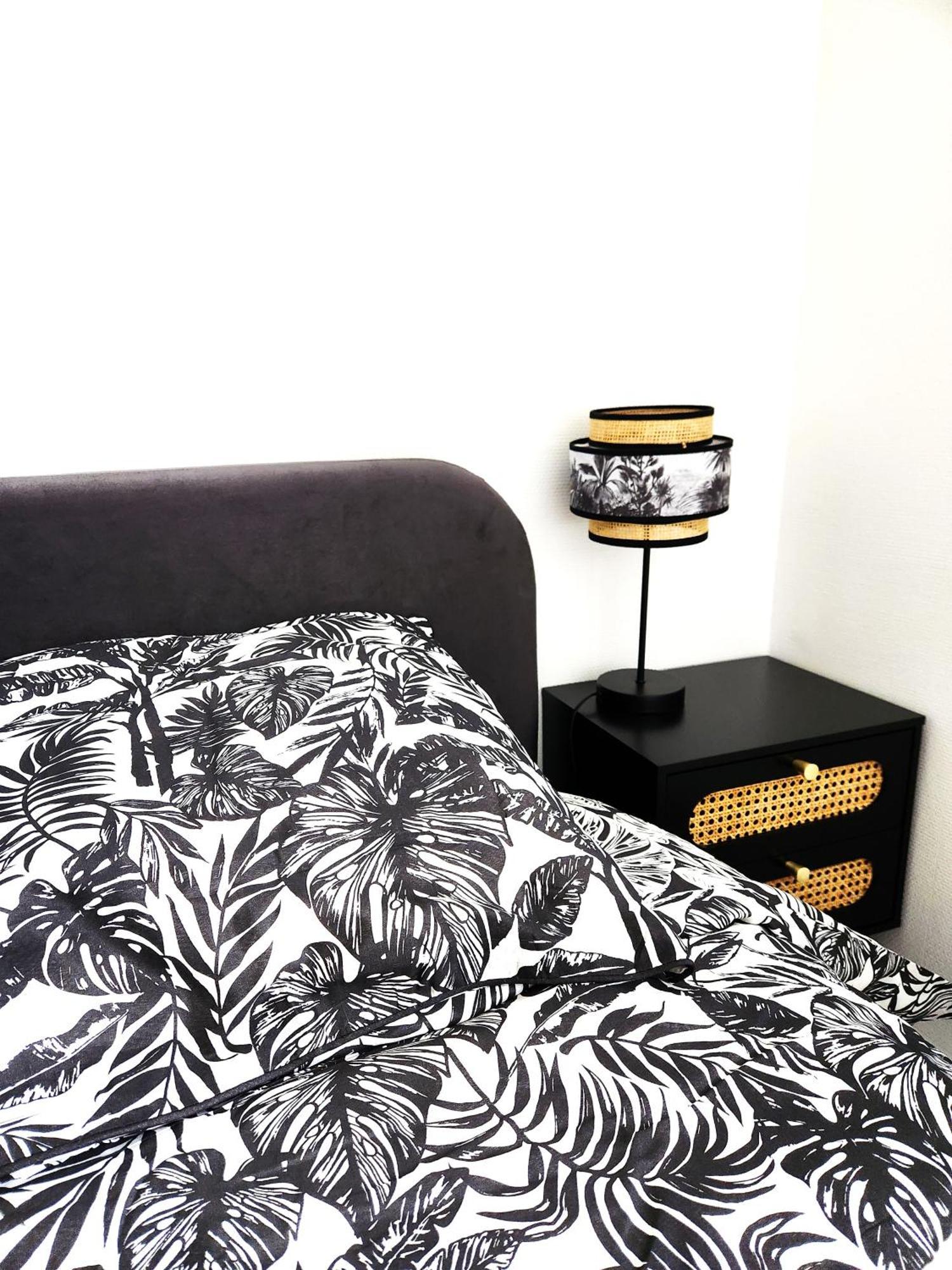 Appartement Cosy Et Lumineux Saint-Jean-de-la-Ruelle المظهر الخارجي الصورة
